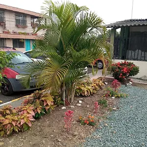 https://monoquil.guayaquilhotels.org
